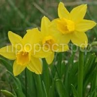 Без названия (4) Без названия (4)