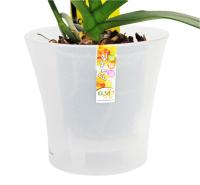 Кашпо для орхидей Арте 2л прозрачный