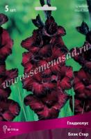 Гладиолус Крупноцветковый Блэк Стар (12/14) 5 шт 