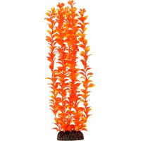 Растение Людвигия оранжевое 400мм/74044059/Триол
