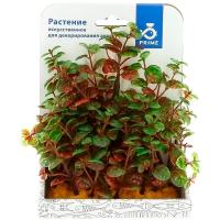 Растение пластиковое prime Людвигия 15см/60103