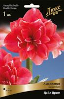 Амариллис махровый Дабл Дрим (24/26) 1 шт