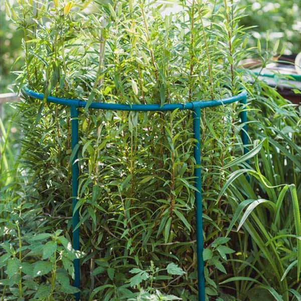 Опора для ягод, кустарников, цветов "Цветочная гармония" 40*38см