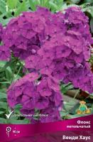 Флокс метельчатый Венди Хаус (I) 1 шт 