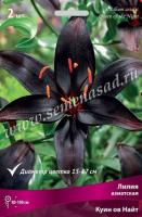 Лилия Азиатская Куин ов Найт 3шт