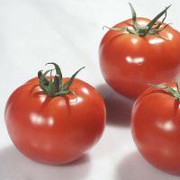 Томат Ралли F1 500 шт Томат Ралли F1 500 шт