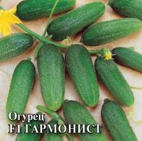 Огурец Гармонист F1 250шт Огурец Гармонист F1 250шт