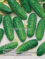 Огурец Конкурент 5г  Огурец Конкурент 5г