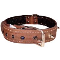 Ошейник кожа 35мм с украшением и шипами на ферте 60-65см/41080/Бим