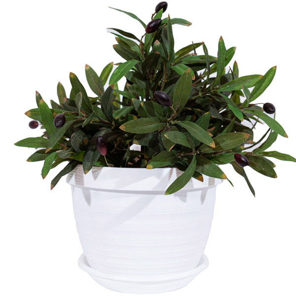 Цветочный горшок Толедо 3л белый с поддоном 5PL0435