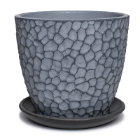 Манго серый бутон №6  8л