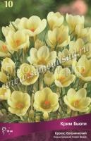 Крокус Крим Бьюти Крокус Крим Бьюти