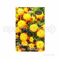 Бархатцы Золото МакКенны 200,5 Каприс Бархатцы Золото МакКенны 200,5 Каприс