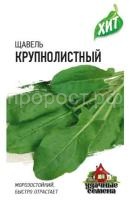 Щавель Крупнолистный 0,5г Щавель Крупнолистный 0,5г