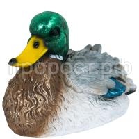 К169024_3 К169024_3