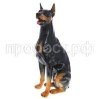 доберман доберман