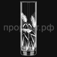 ковыль ковыль