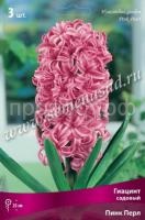 Гиацинт Пинк Перл