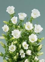 unnamed (2) unnamed (2)