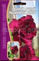 Адениум Малиновый Десерт 3 шт Редкие растения Адениум Малиновый Десерт 3 шт Редкие растения