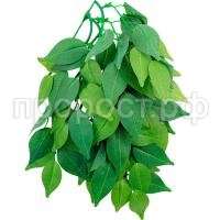 З171557_0 З171557_0