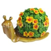 улитка желт