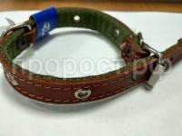 WhatsApp Image 2018-10-24 at 12.24.38(2)