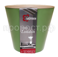 лондон олив