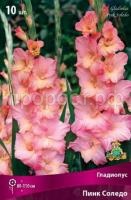 Гладиолус Пинк Соледо