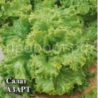 Салат Азарт 10 г Салат Азарт 10 г