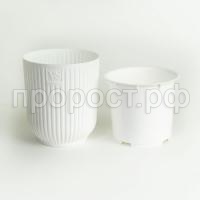 iawa_vipset_5-1000x1000 iawa_vipset_5-1000x1000