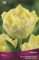 Тюльпан Махровый ранний Верона (жёлто-лимонный, 10шт, 11-12) 540606