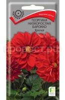 ГЕОРГИНА БАРОККО КРАСН.