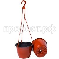 П112616_1 П112616_1