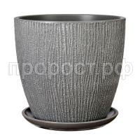 Гамбург серый бутон Гамбург серый бутон