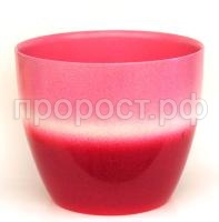 фанси роз фанси роз