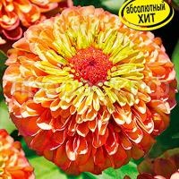 ddf48fa5_a3fb_11ee_b6a5_00155de0f501_59a8d100_a96d_11ee_b6a5_00155de0f501