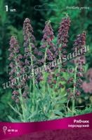 Рябчик Персидский (чёрный, 1шт, 18-20) 723276