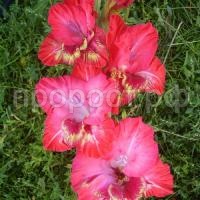 2fd770a6dc6dd06f0e975abaeb21fefd 2fd770a6dc6dd06f0e975abaeb21fefd