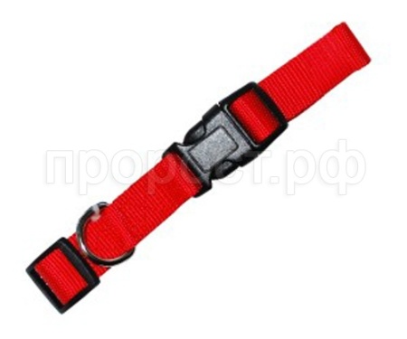 Ошейник нейлоновый цветной 1,9*35*50см/ТОК3/Евро Ошейник нейлоновый цветной 1,9*35*50см/ТОК3/Евро