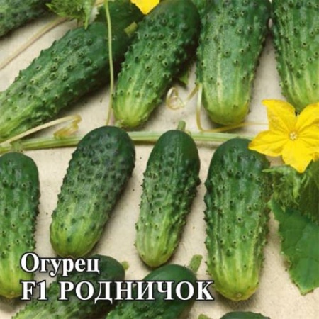 Огурец Родничок F1 25 г