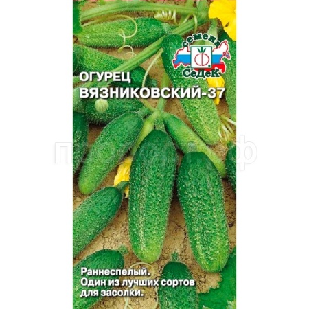 Огурец Вязниковский 37 0,5г 