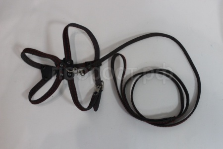 Комплект для собак и кошек (поводок кожа 1,3м + шлейка кожа 7мм)/140312 Комплект для собак и кошек (поводок кожа 1,3м + шлейка кожа 7мм)/140312