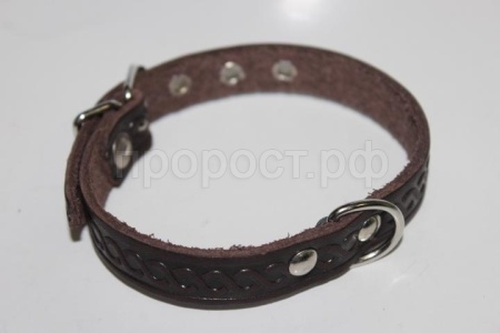 Ошейник кожа 17мм 1слойный 35-40см/40496 Ошейник кожа 17мм 1слойный 35-40см/40496
