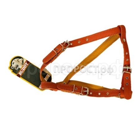 Шлейка кожа Универсал Малая шея 43-56см, грудь 54-64см/410 Шлейка кожа Универсал Малая шея 43-56см, грудь 54-64см/410