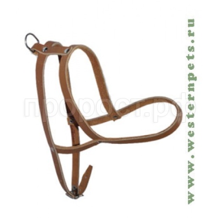 Шлейка кожа Средняя 50-58см/401 Шлейка кожа Средняя 50-58см/401