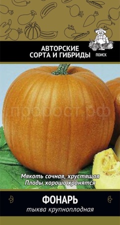 Тыква крупноплодная Фонарь 10шт 