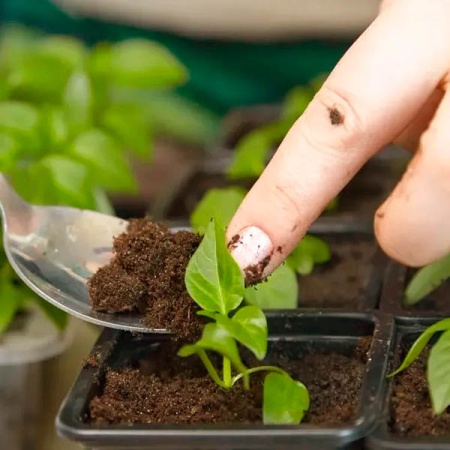 Грунт TERRA VITA Живая Земля Петуния-виола-настурция 5л