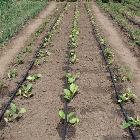 Капельная лента 7милс водовылив 1,6л/ч шаг 20см 500м эмиттерная /Виола