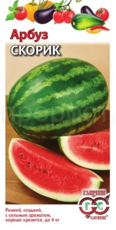 Арбуз Скорик 1г